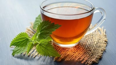 Té verde, la infusión que promete una vida más longeva