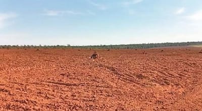 Impunidad Ambiental: El caso de Ulises Rodríguez Teixeira