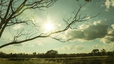 Miércoles caluroso con temperaturas que alcanzarían los 37°C