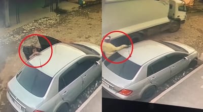 Recolector de basura devuelve iPhone y se gana elogios por su honestidad