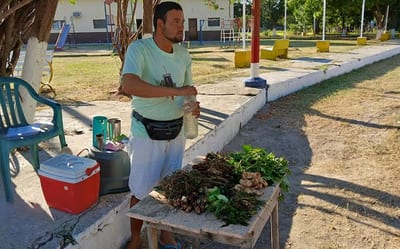 Joven paga sus estudios vendiendo yuyos en Fuerte Olimpo