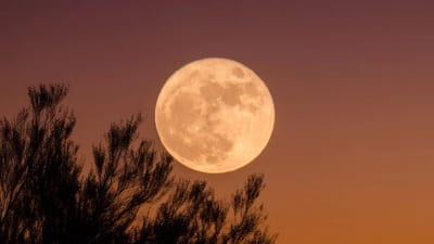 Luna llena deslumbrará esta noche tras días de lluvia