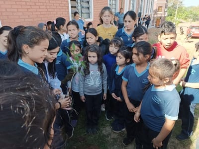¡Villarrica se viste de verde! 5.000 árboles para reforestar
