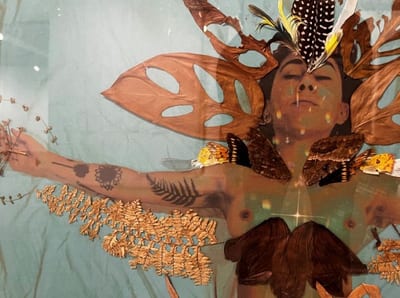 “A través de las grietas”: Una exposición que explora el ecofeminismo en Paraguay