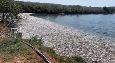 Essap investiga muerte masiva de peces en laguna artificial