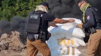 Senad incinera 4.013 kilos de cocaína incautada en la Operación Dulzura