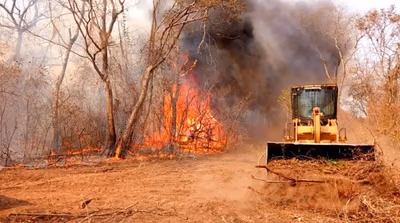 Chaco en llamas: 200.000 hectáreas consumidas por incendios forestales