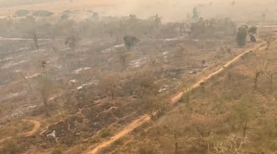Pueblos indígenas responsabilizan a empresas por incendios en el Chaco