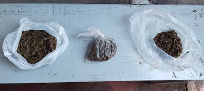 Alumnos colocan marihuana en despacho de director durante charla antidrogas
