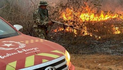 Incendio en Chovoreca arrasa más de 100.000 hectáreas de bosques nativos