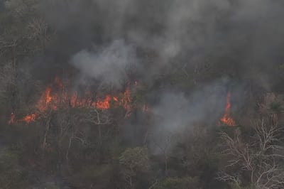 Reactivación del incendio en el Monumento Cerro Chovoreca