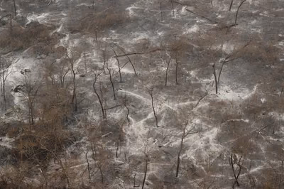 Devastador incendio en el Chaco deja 180.000 hectáreas calcinadas