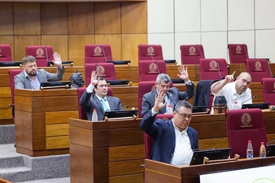 Colegio de Abogados de Nueva York alerta sobre ley anti-ONG en Paraguay