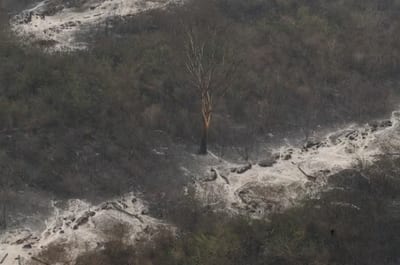 Mades aplicará multa por incendio en el Chaco de hasta 20 mil jornales