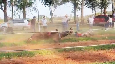 Menor herido tras caída de caballo en carrera clandestina en Itapúa