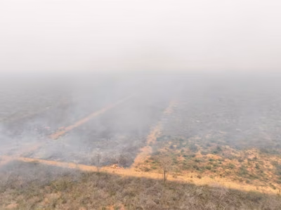 Incendios devastan 14.000 hectáreas de comunidad Chovoreca