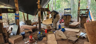 Operativo en Canindeyú desmantela base narco de USD 4,6 millones