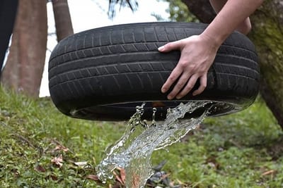 Intervenciones contra criaderos de mosquitos avanzan en Asunción