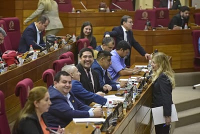 Diputados decidirán hoy sobre vales de combustible y seguro VIP
