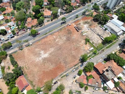 Desolador: exbosque San Vicente queda sin árboles