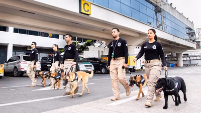 Nuevos canes antidrogas refuerzan operativos de la Senad