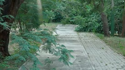 Parque Urbano de IPS: Un espacio público en total abandono