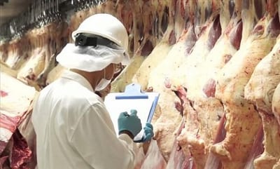 Paraguay Leads Meat Export Growth in the Mercosur Bloc