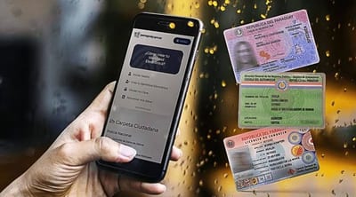 Documentos digitales válidos en el tránsito: requisitos clave