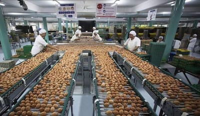 Paraguayan Eggs Reach Singapore Market