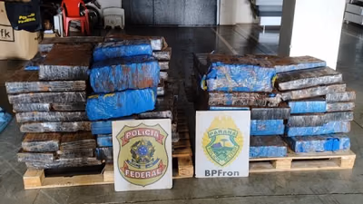 Investigan hallazgo en Brasil de marihuana desaparecida de la Senad