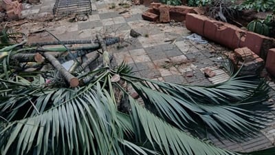 San Lorenzo renueva plaza histórica entre críticas ciudadanas