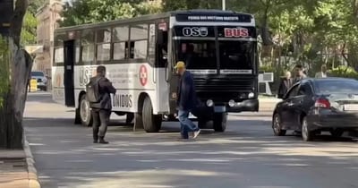 “Oso Bus” opera sin autorización del Viceministerio de Transporte