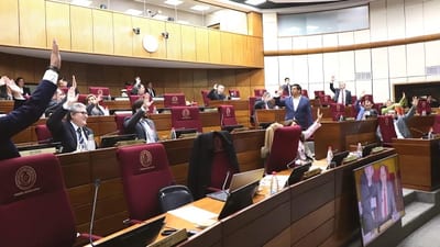 Senado aprueba ley contra mafia de pagarés