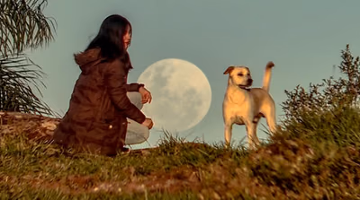 Última luna llena de otoño se observa esta noche