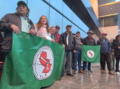 OLT lanza campaña de reforestación: 20.000 árboles por la vida