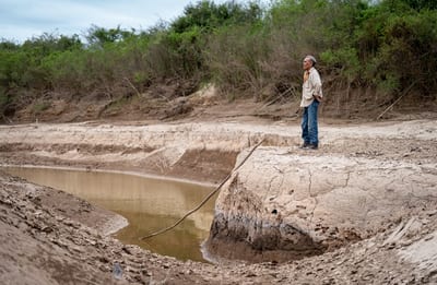 Premio Nacional de Periodismo Ambiental anuncia finalistas