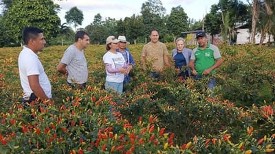 Planta de ají en San Pedro abre nueva era industrial