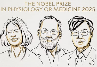 Nobel de Medicina 2025 reconoce avances contra la autoinmunidad