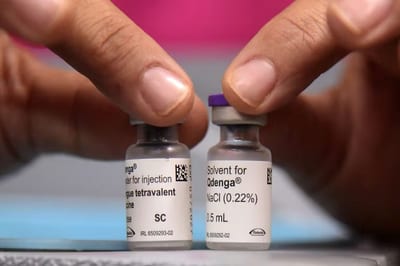 Vacuna contra dengue: analizan ampliar edad y cobertura