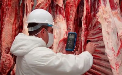 Feria en la Costanera ofrece carne desde G. 14.000