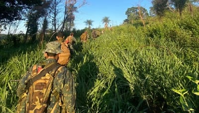 Fuerzas Armadas operarán en todo el país sin límites