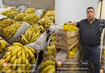 400 cajas de banana rechazadas para Hambre Cero