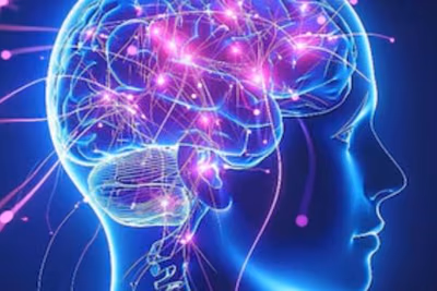 Día Mundial del Cerebro y las claves para cuidarlo