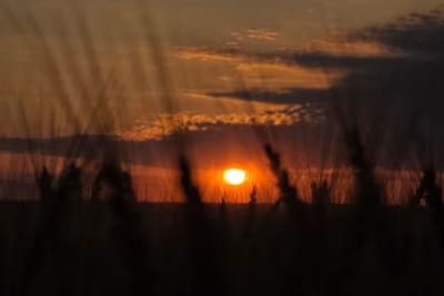 Meteorología prevé hasta 33 °C para este martes