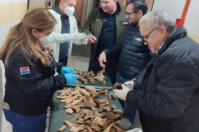 Restos óseos en ex Tacumbú: así es el proceso de identificación forense