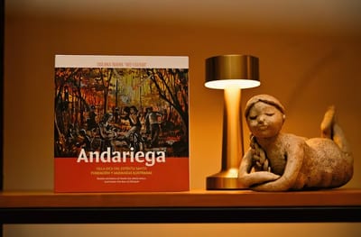 Presentan el libro “Andariega” sobre las mudanzas de Villarrica