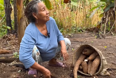 Pareja dejó la ciudad y lleva 30 años viviendo de la tierra