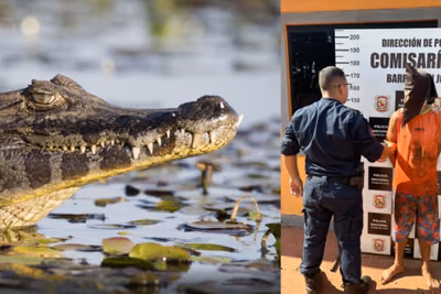 CDE: Huyó de la Policía, se lanzó al lago, pero regresó a la orilla tras encontrar yacarés