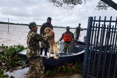 ExBuen Pastor será refugio de animales por inundaciones