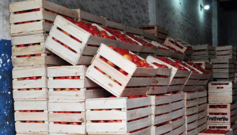 Precio del tomate vuelve a bajar